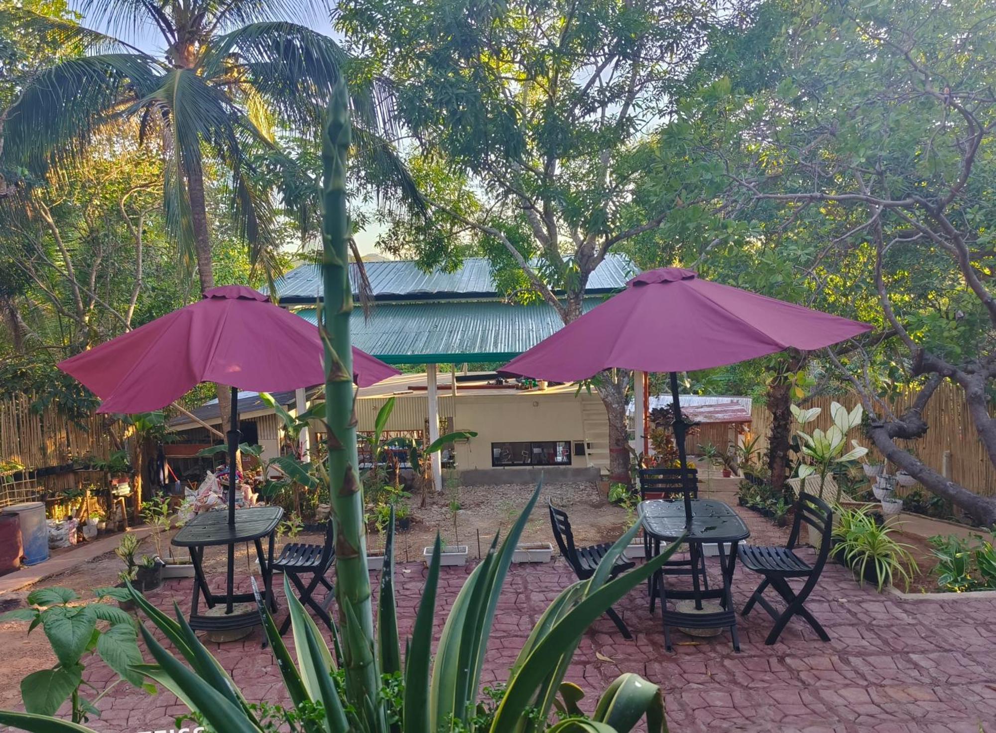 Ani Marie Guest House Busuanga Eksteriør billede